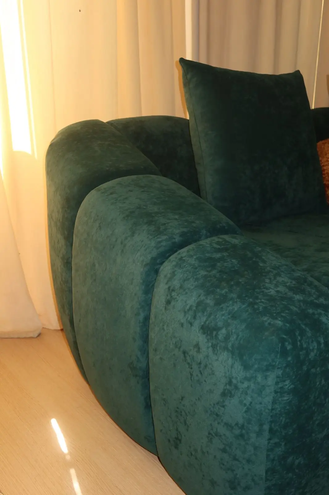 OLIVE - Image 4